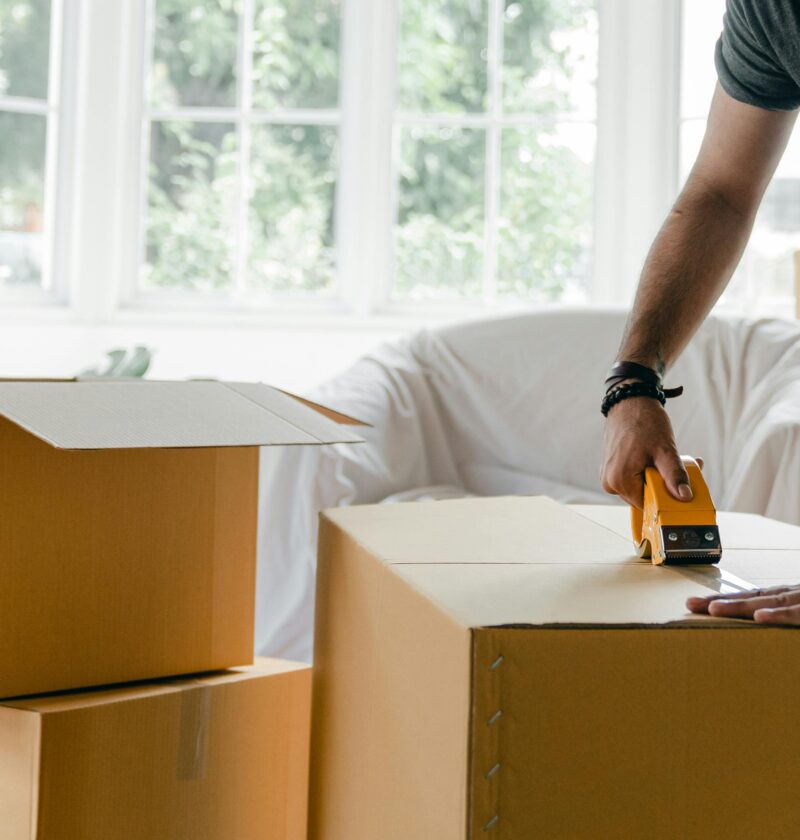 Umzüge verschiedener Art